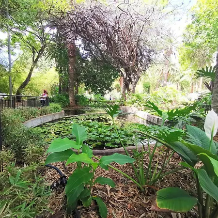 Appartement Home2book Bright Center Cruz, Wifi