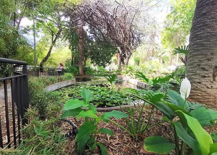 Apartament Home2book Bright Center Cruz, Wifi