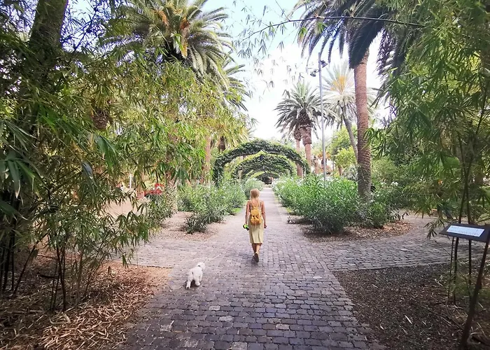 Home2book Bright Center Cruz, Wifi * Santa Cruz de Tenerife